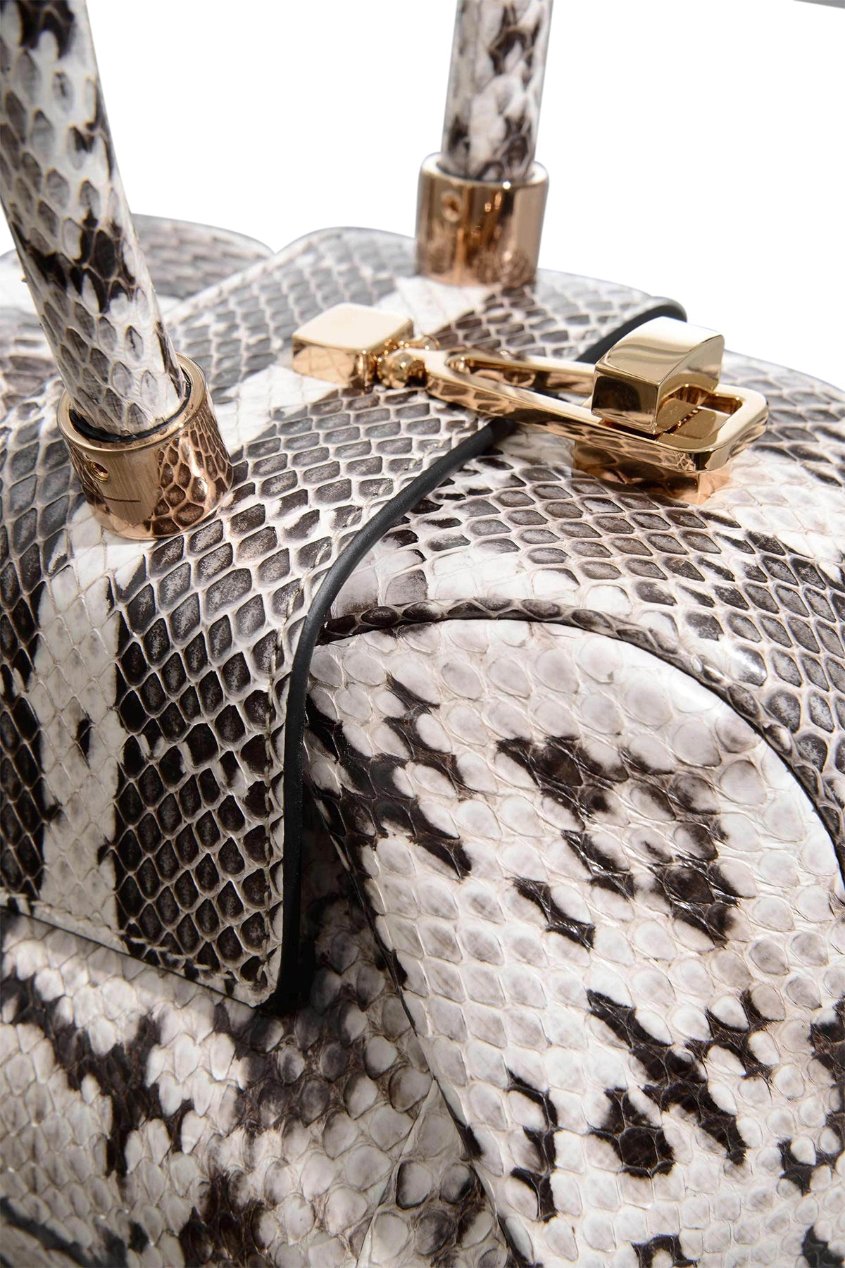 Demi Bag in Black \u0026 White Snakeskin \u2013 Gabriela Hearst