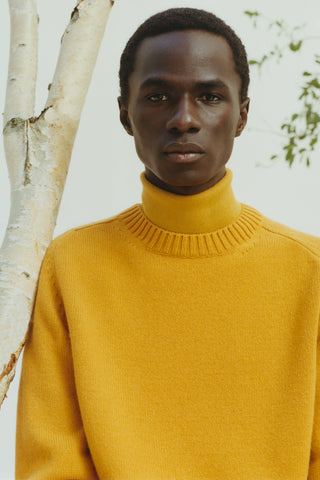 Daniel Sweater in Golden Birch Cashmere